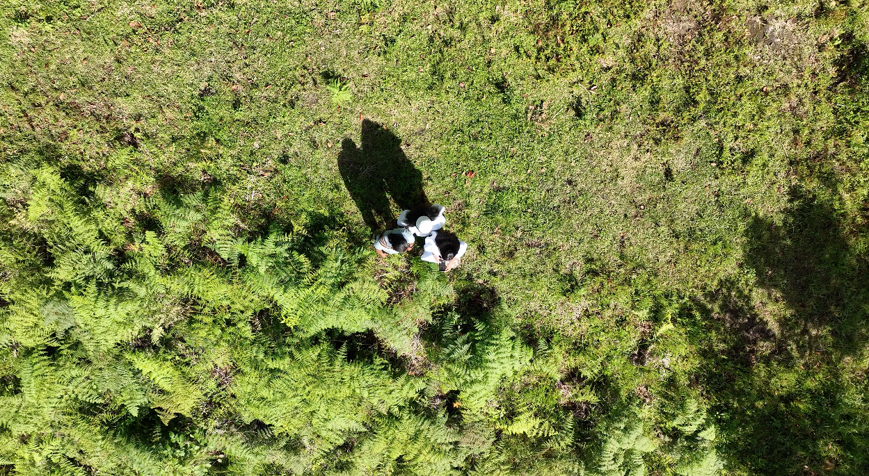 ‘Bosques Sagrados’ protege 9 millones de árboles en la Sierra Nevada de S. Marta