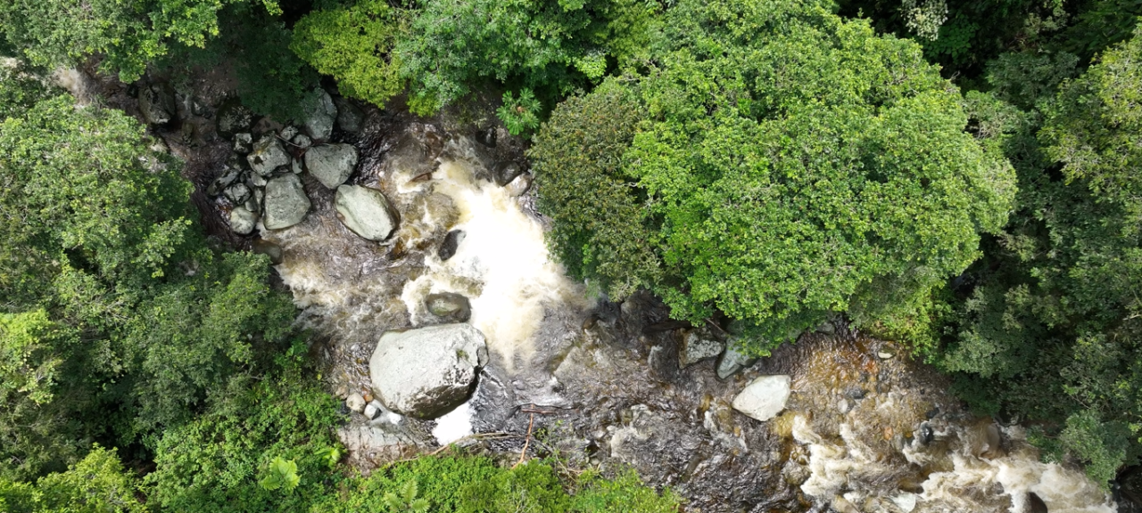 ‘Bosques Sagrados’ protege 9 millones de árboles en la Sierra Nevada de S. Marta