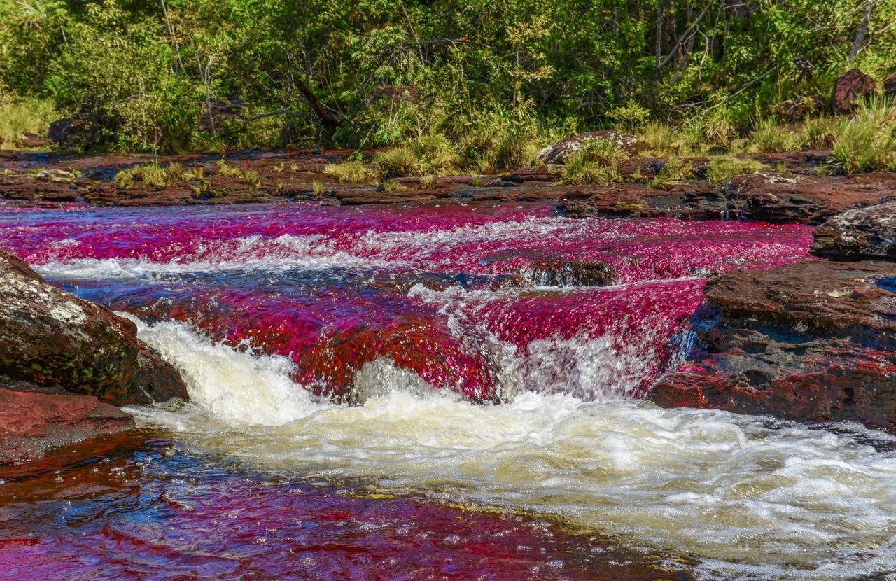 Satena reabre ruta entre Bogotá y La Macarena para temporada turística de Caño Cristales