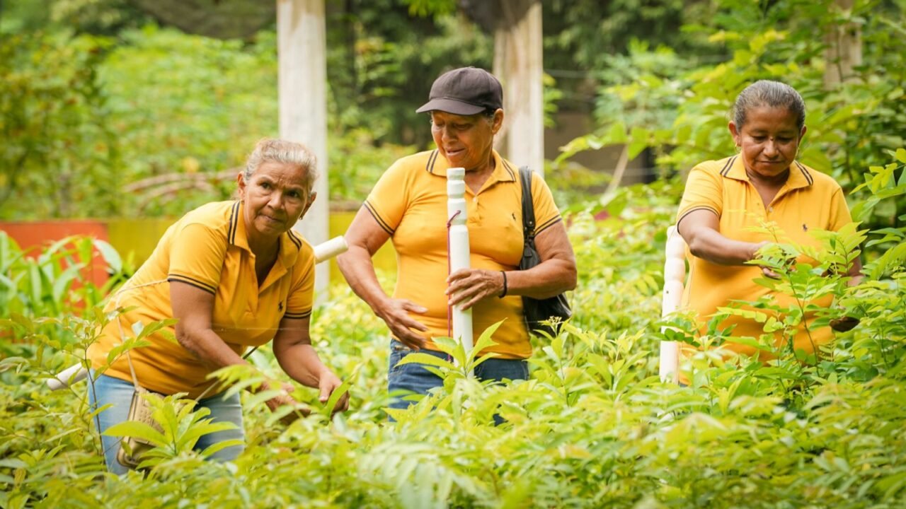 Por lo menos 15 mil hectáreas formalizadas y entregadas por la ANT a mujeres rurales en el Caribe