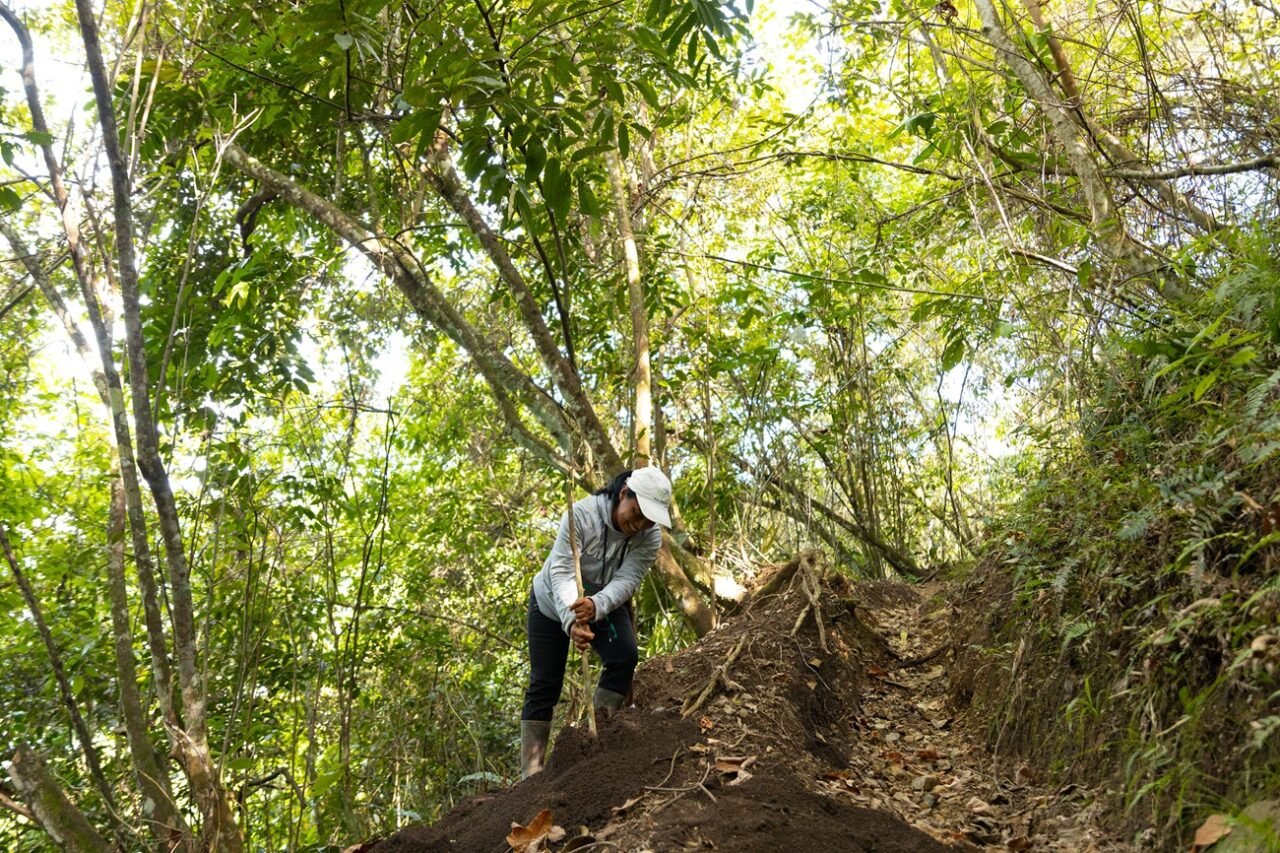 América Latina sigue sin cerrar brecha entre género y clima: menos del 20% de las políticas muestra avances en la zona