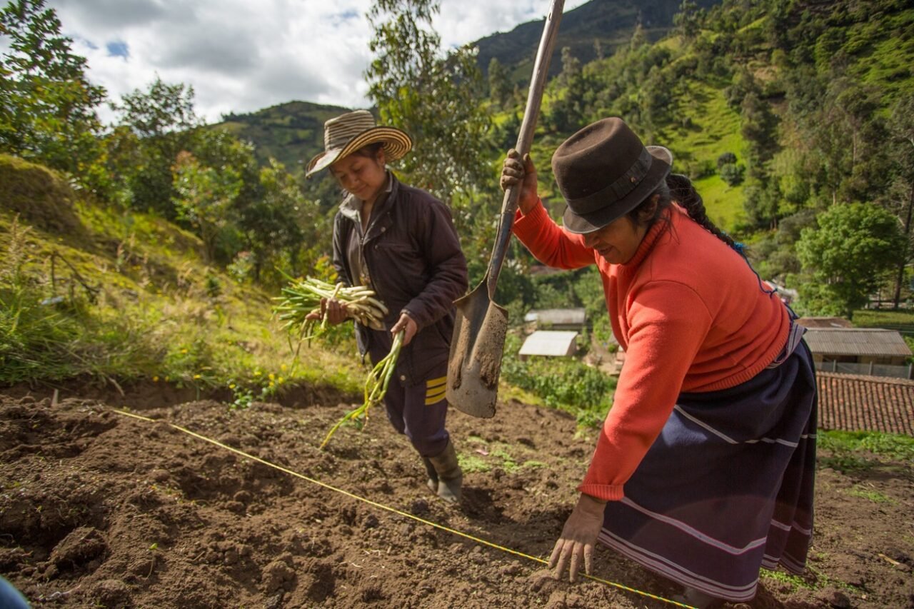 América Latina sigue sin cerrar brecha entre género y clima: menos del 20% de las políticas muestra avances en la zona