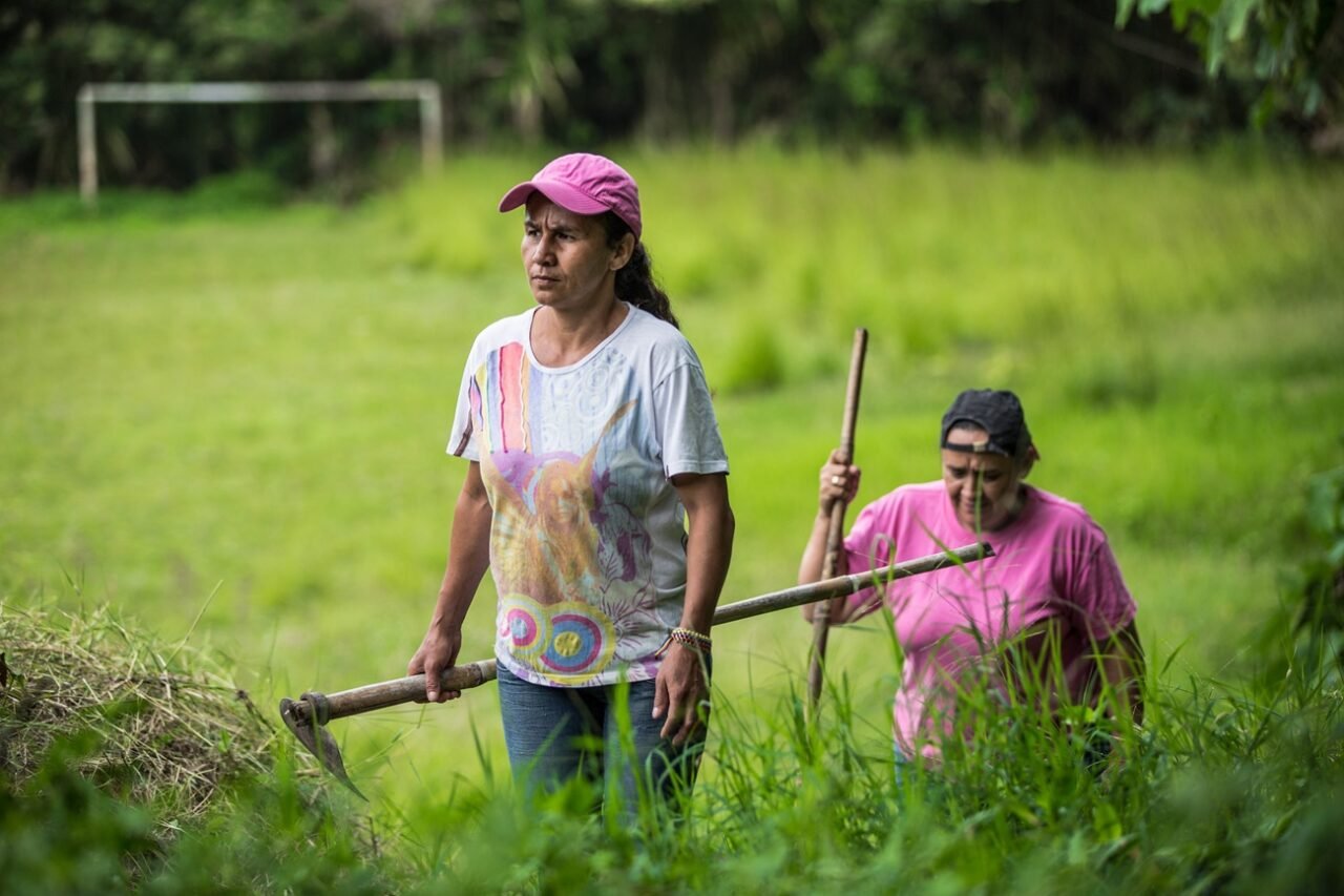 América Latina sigue sin cerrar brecha entre género y clima: menos del 20% de las políticas muestra avances en la zona