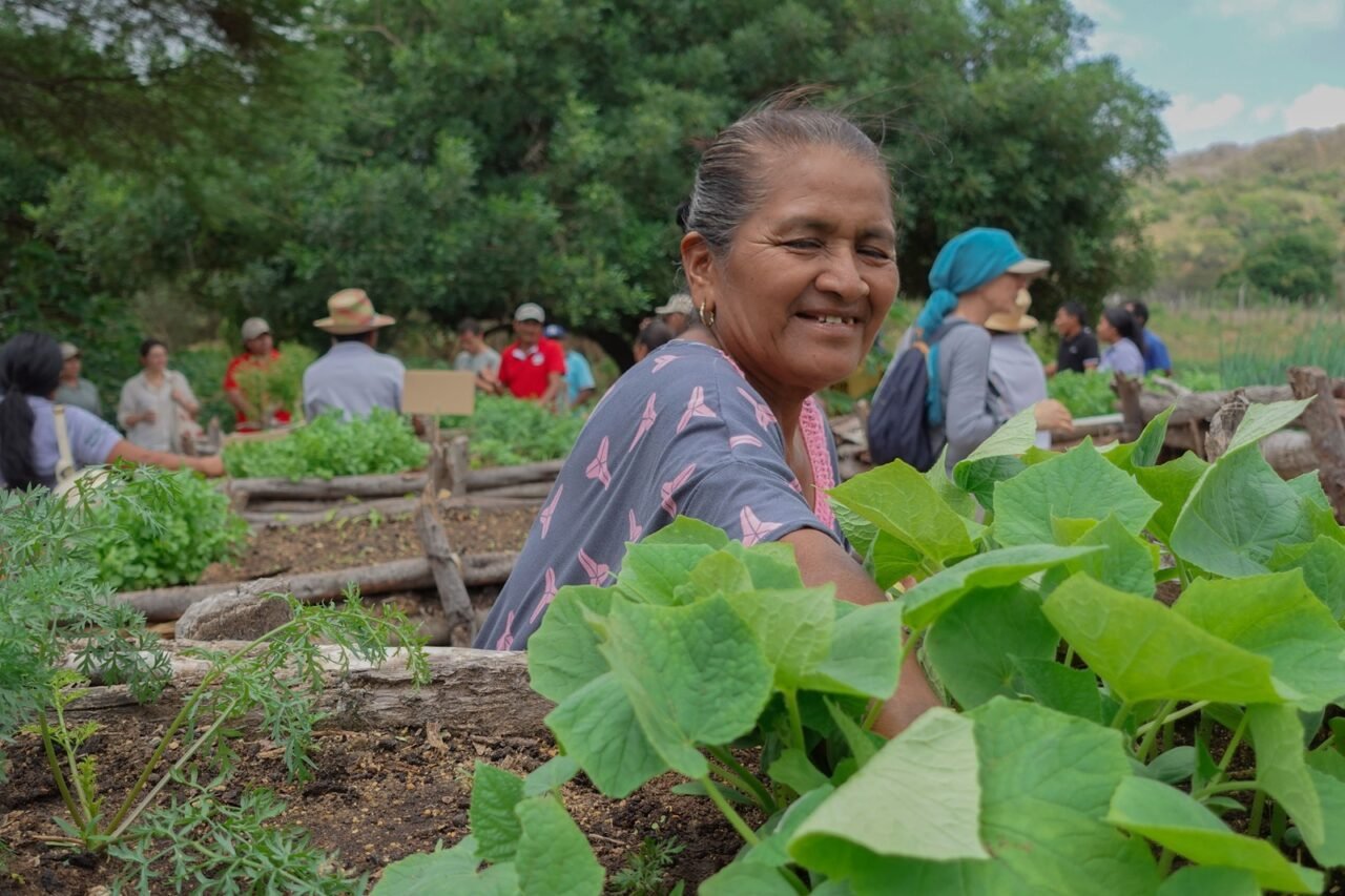 El poder de la biodiversidad: sistemas agroalimentarios sostenibles restauran la vida en la Macuira, un parque guajiro