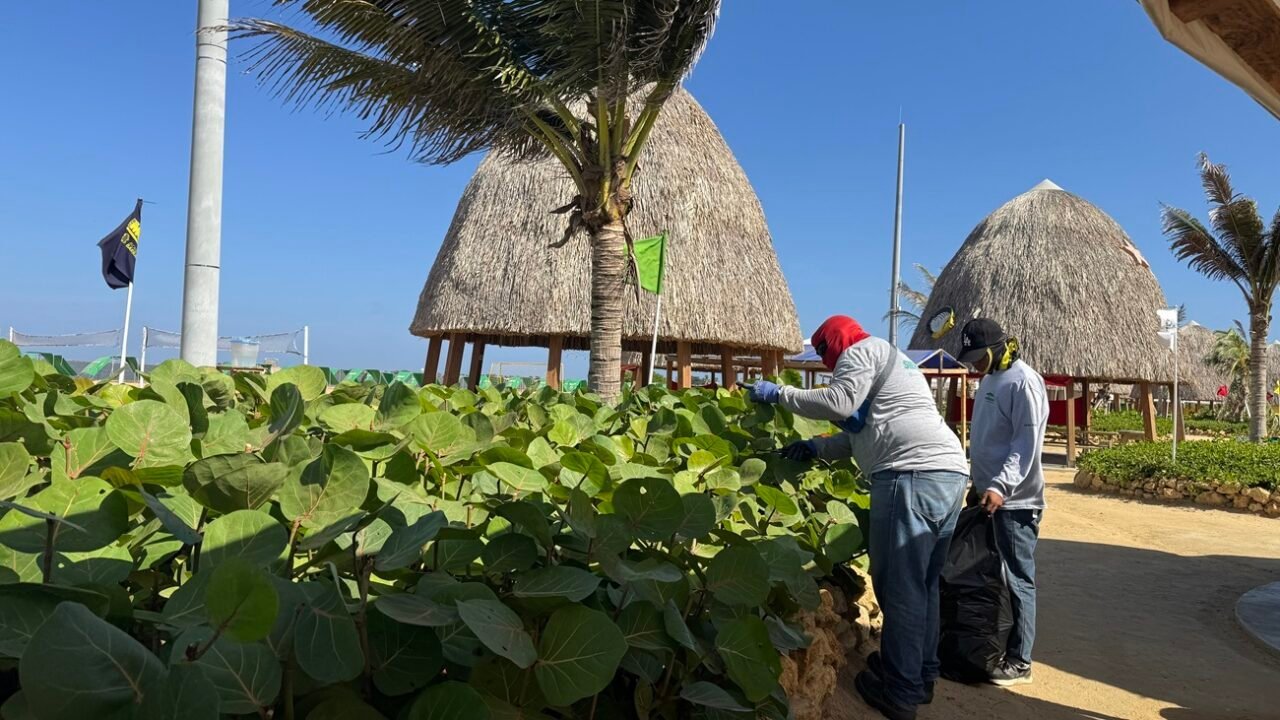 Día Mundial de la Educación Ambiental: Barranquilla promueve la conservación de los espacios verdes