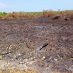 Hay que prevenir los riesgos ante las altas temperaturas.
