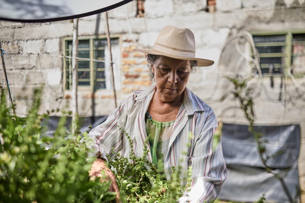 Producción sostenible transforma la Navidad en las comunidades rurales