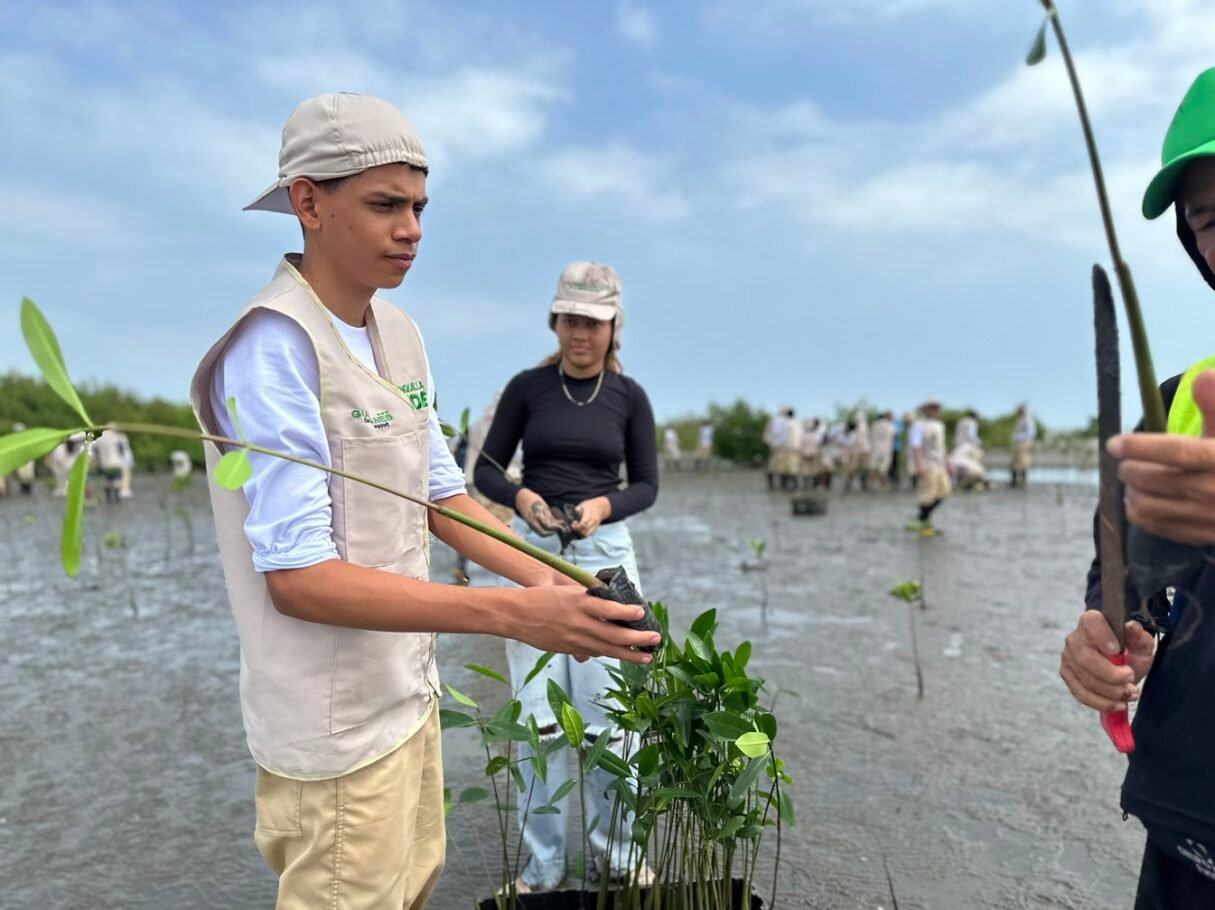 Con 100 Guardianes de la Biodiversidad, Barranquilla cuida sus ecosistemas naturales 