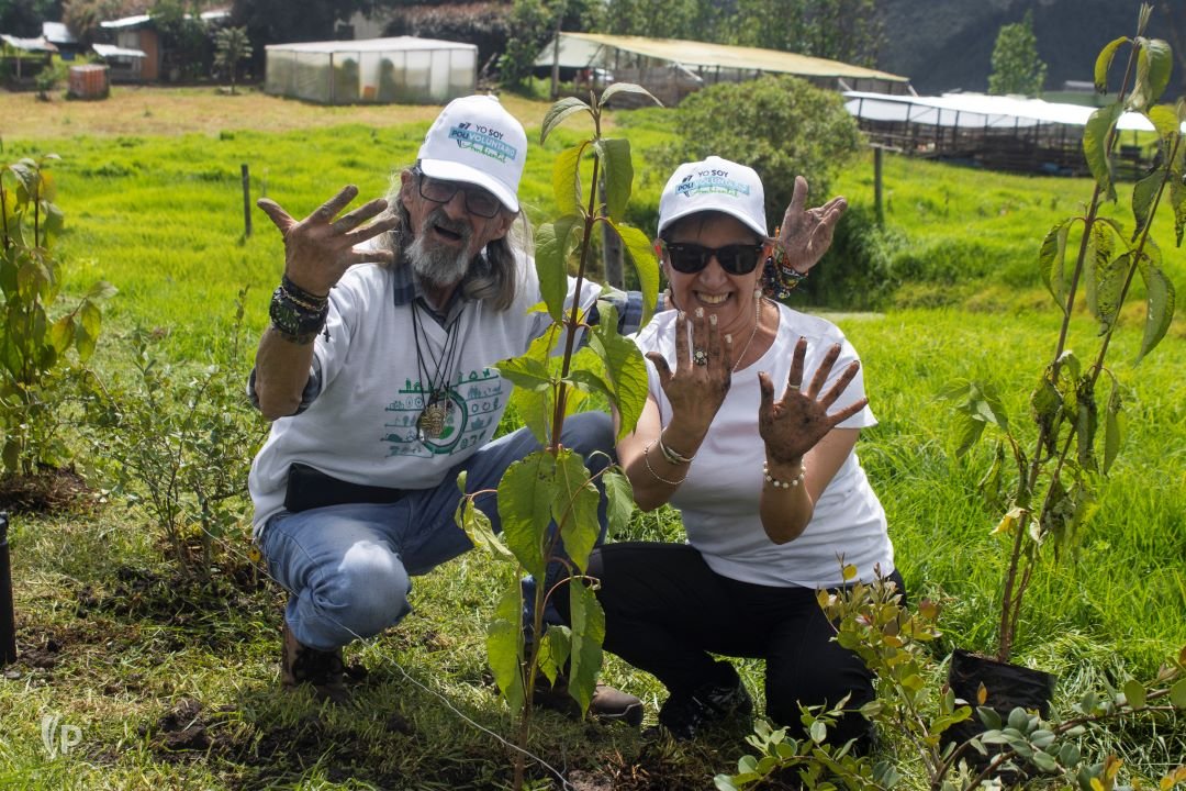 Humedales en riesgo: Bogotá está perdiendo sus ecosistemas vitales