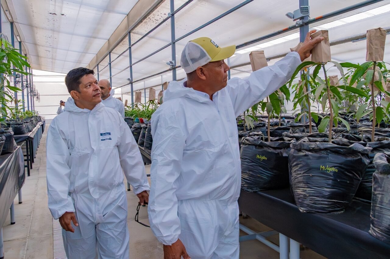 UniMagdalena inauguró el primer Invernadero de Bioseguridad Tipo II en el Caribe