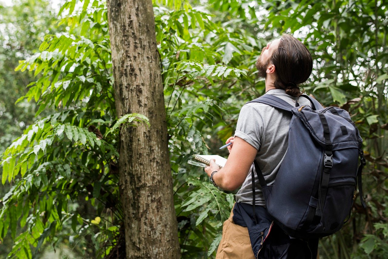 Del Tayrona al Amazonas: el auge del turismo sostenible en Colombia