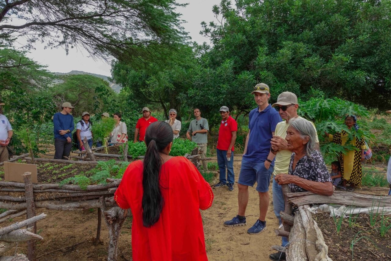 El poder de la biodiversidad: sistemas agroalimentarios sostenibles restauran la vida en la Macuira, un parque guajiro