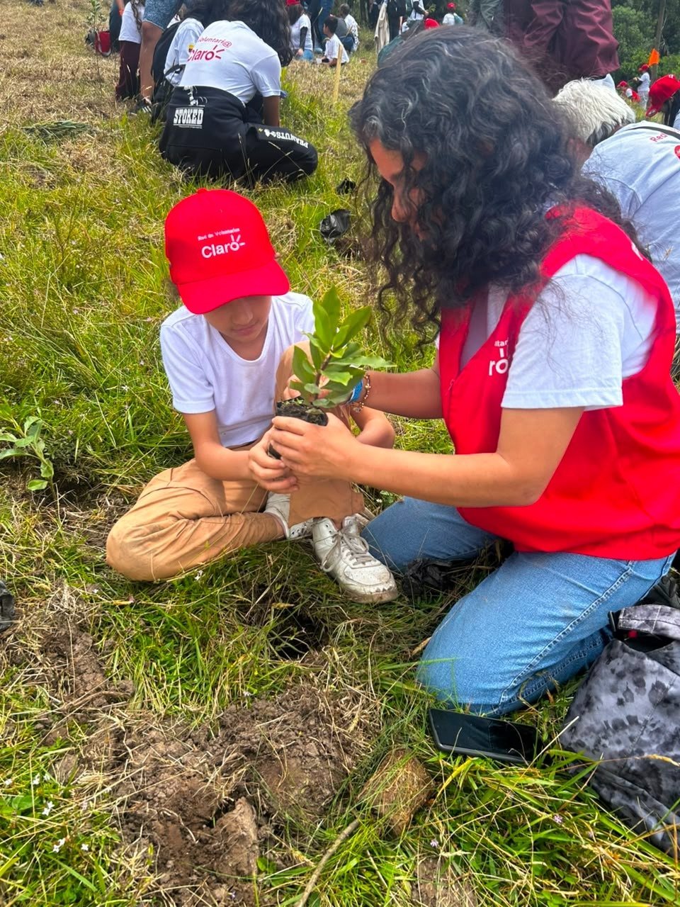 Siembra de más de 1.500 árboles nativos fortalece biodiversidad en Cajicá