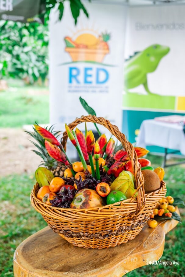 Ecopetrol, FAO y el Instituto de Turismo de Villavicencio impulsan el agroturismo