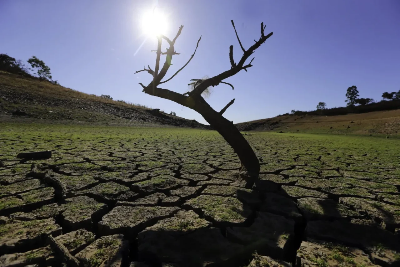Derechos humanos y ambiente sano, elementos esenciales en COP30