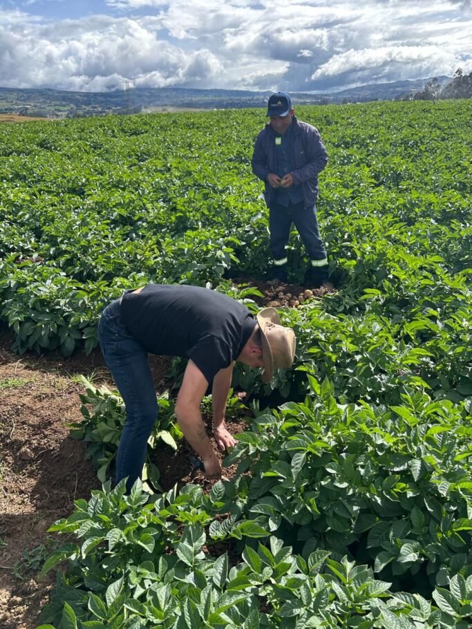 Empresa del sector alimentos reporta reducción del 32% en sus emisiones y fija meta del 50% a 2030