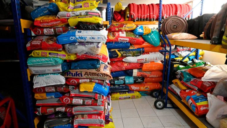 10 toneladas de ayudas para animales afectados por emergencia climática en Córdoba