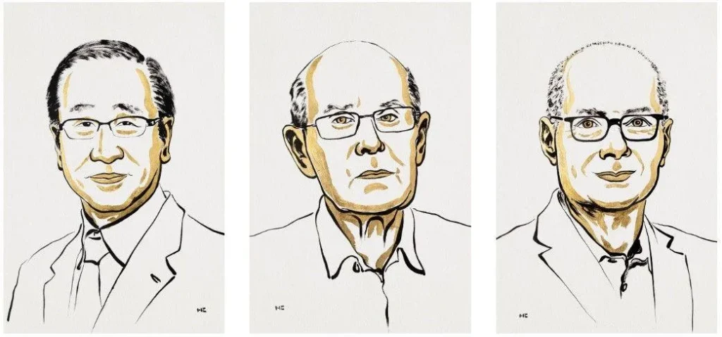 3 científicos ganan el Nobel de Química 2025 por crear revolucionarias estructuras moleculares