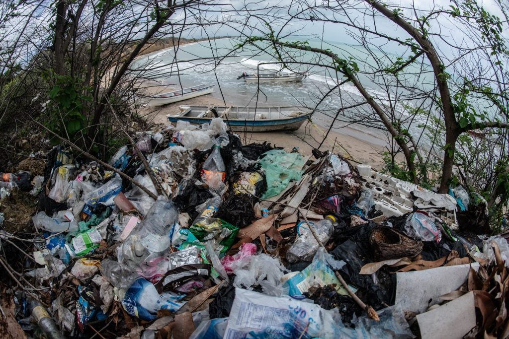 9 de cada 10 colombianos expresan alto interés por la crisis ambiental