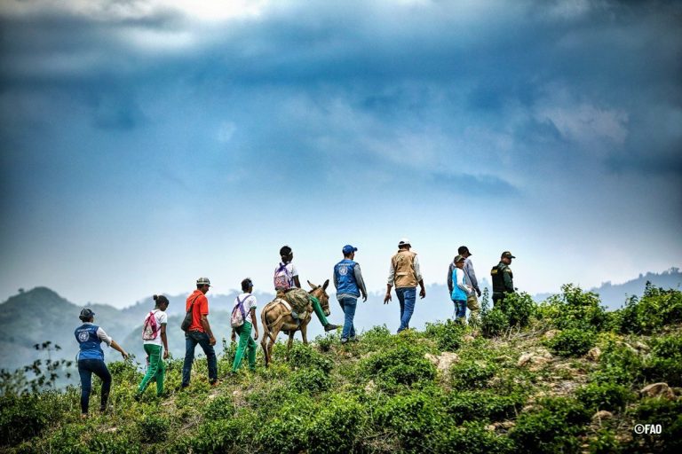 Acceso, tenencia y gobernanza de la tierra, asuntos claves para el desarrollo rural en Colombia