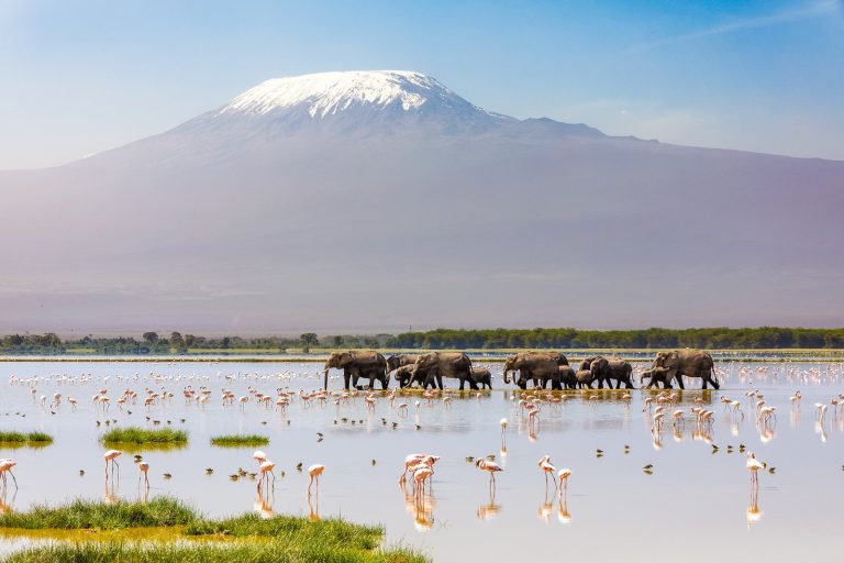 Air France conecta a Colombia con tres destinos de ensueño: Kilimanjaro, Dubái y Phuket