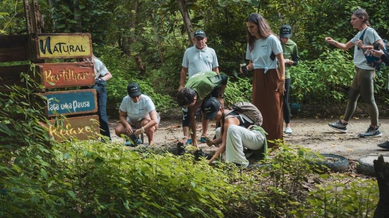 Alianza Kia y GreenSouls recomponen ecosistemas marinos en San Andrés Islas