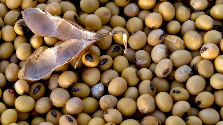 Aplican cero arancel a la importación de 76 insumos agropecuarios