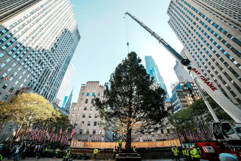 Árbol de Navidad del Centro Rockefeller inicia la temporada festiva en NY