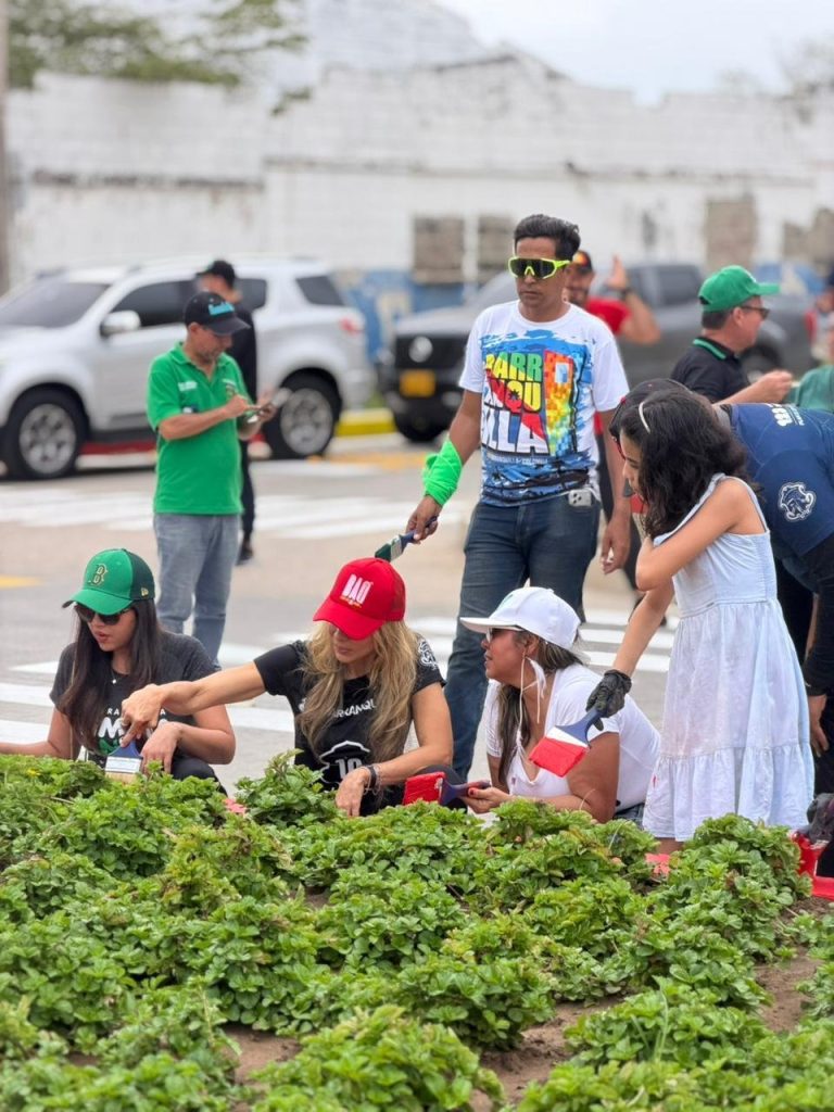 Barranquilla: basureros de ayer que hoy son bellos jardines