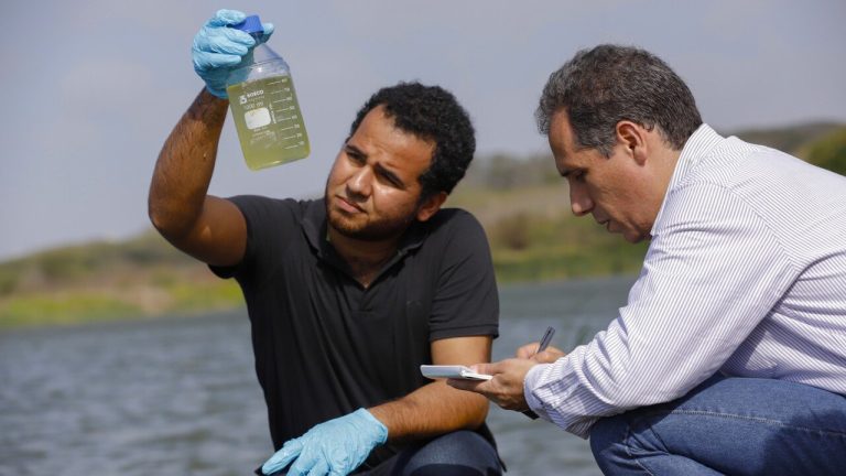 Barranquilla: MinCiencias califica en la categoría A1 al 74% de los grupos de investigación de la Universidad del Norte