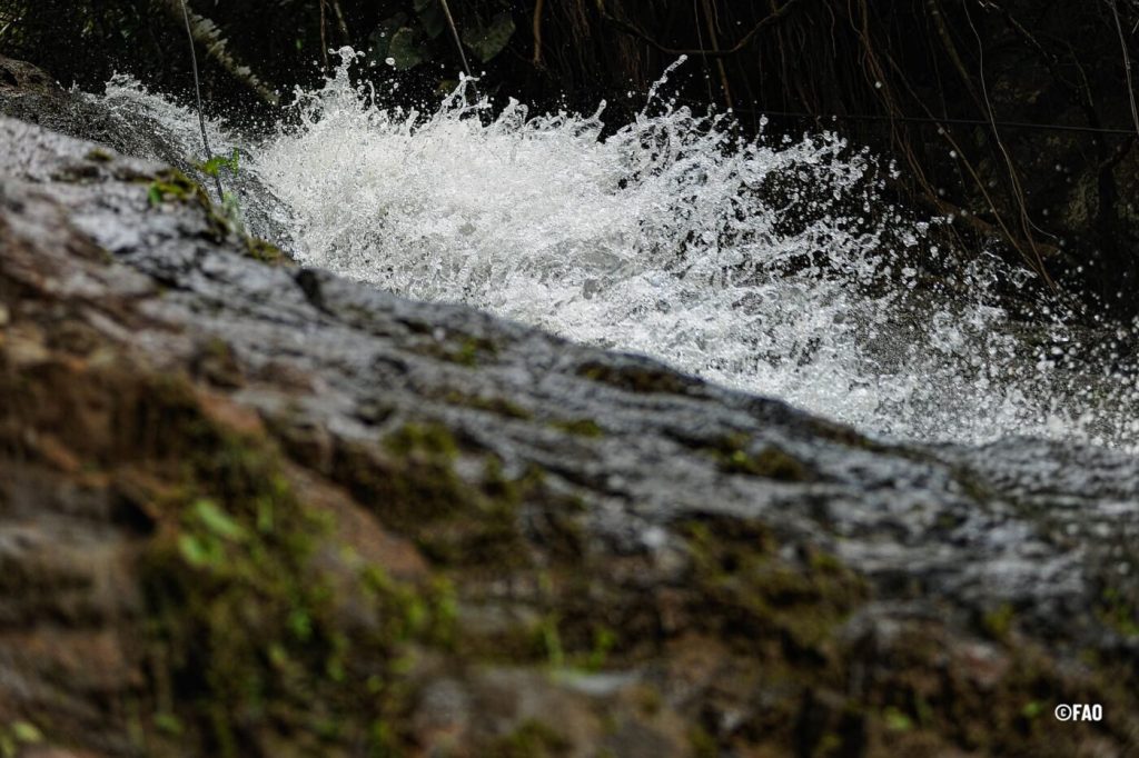 Colombia abre el diálogo por una gobernanza responsable del agua