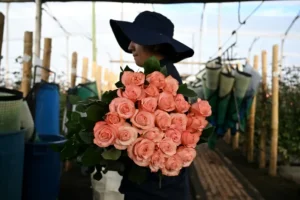 Colombia adorna con flores EEUU mientras sus cultivadores temen aranceles