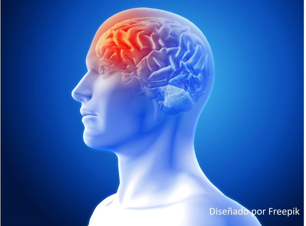 Conozca las 10 enfermedades que afectan la salud neurológica: experta explica