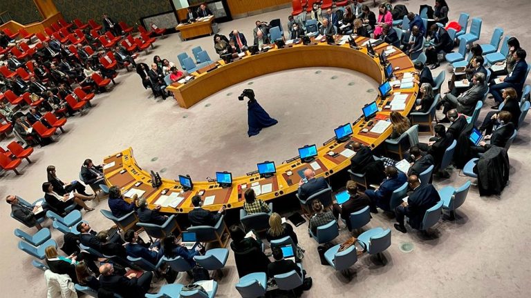 Consejo de Seguridad de la ONU reduce mandato de la misión de verificación en Colombia