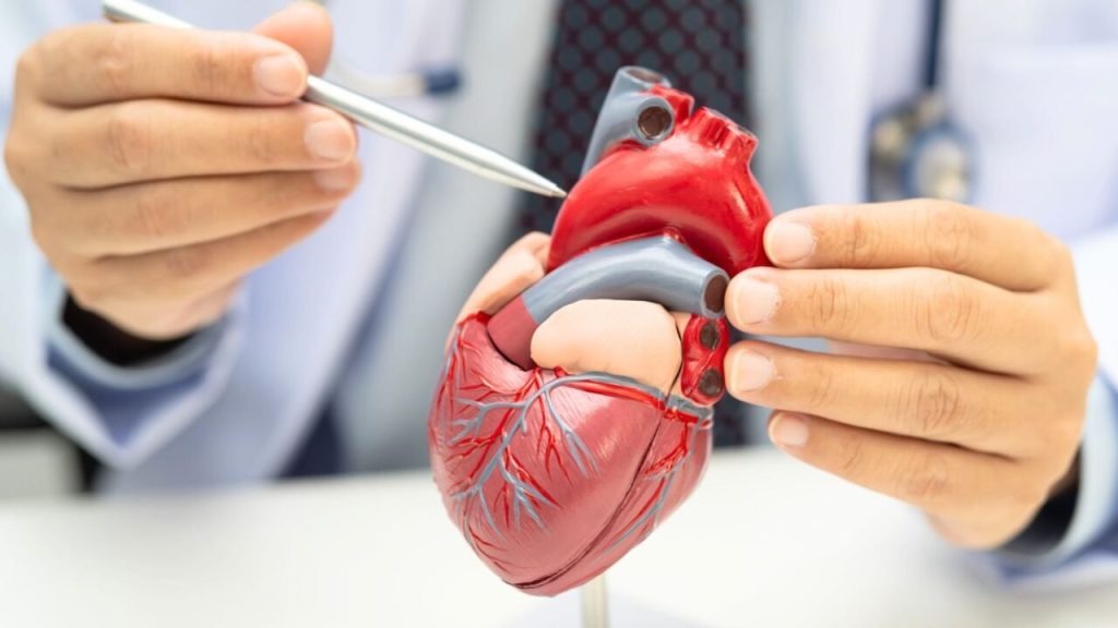 ¿Cuándo es momento de ir al cardiólogo? Señales que no deben ignorarse