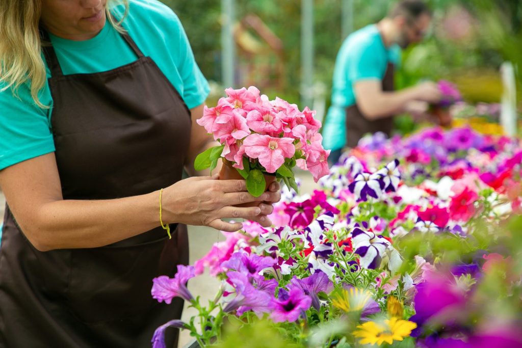 De proveedor a líder global: Colombia transforma la industria mundial de las flores