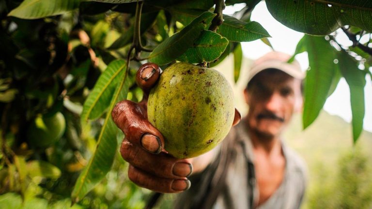 Del 24 al 28 de febrero en Cartagena, Conferencia Internacional de Reforma Agraria