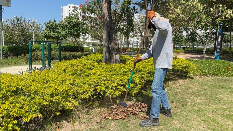 Día Mundial de la Educación Ambiental: Barranquilla promueve la conservación de los espacios verdes