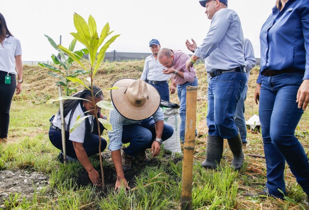 Ecoaguas 30 años: 2 millones de árboles sembrados y 5 mil hectáreas restauradas en varios territorios
