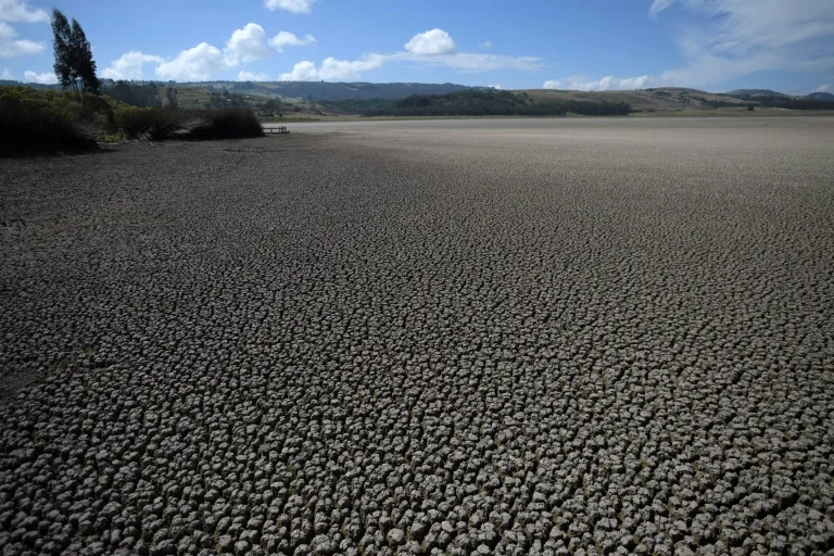 El Niño ya llegó, se intensifica rápido: estas son las regiones más afectadas