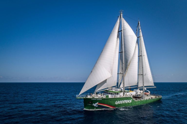 El Rainbow Warrior, barco emblemático de Greenpeace, regresa a Colombia