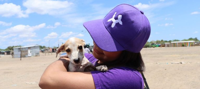 Emergencia invernal en Córdoba deja miles de animales afectados: Laika ofrece apoyo