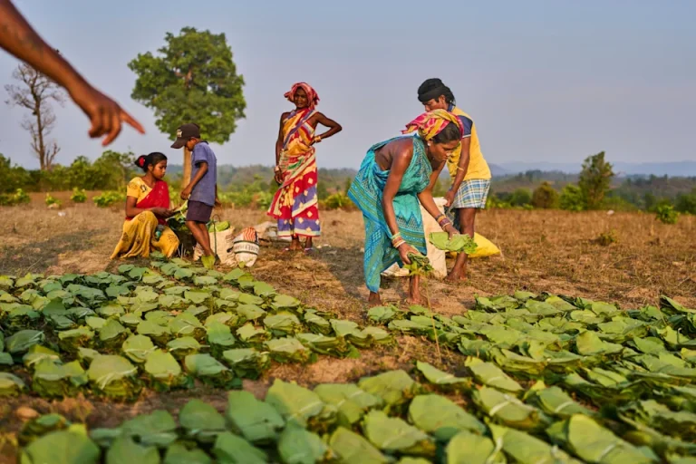 En India, mujeres indígenas y sus “mapas de sueños” buscan proteger las tierras del cambio climático