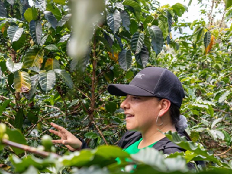 En las montañas de Colombia, las mujeres sostienen el café… pero siguen siendo invisibles