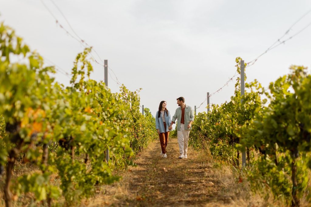 Enoturismo en día de Amor y Amistad: en pareja, o entre amigos