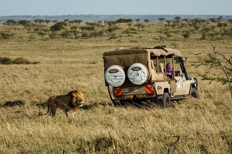 España está entre los principales mercados europeos interesados en safaris