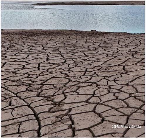 Eventos climáticos extremos afectan seguridad alimentaria en A. Latina y el Caribe