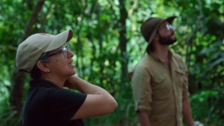 Ficci: RTVC presentará documental ‘Chiribiquete: Un viaje a la memoria ancestral de América’