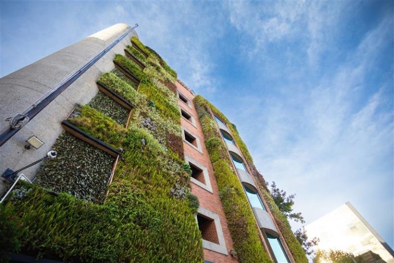 Findeter es reconocida como organización carbono-neutral