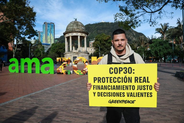 Greenpeace invita a una COP30 histórica por los bosques y el clima